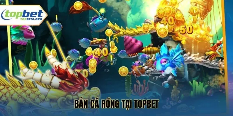 Bắn Cá Rồng tại Topbet