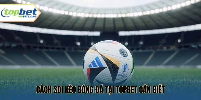Cách soi kèo bóng đá tại Topbet cần biết