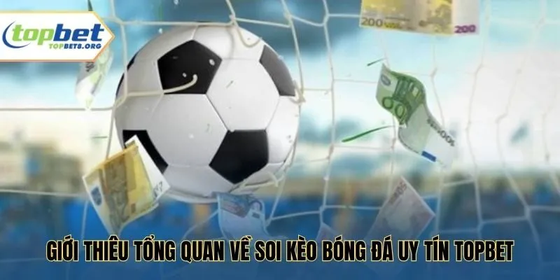 Giới thiêu tổng quan về soi kèo bóng đá uy tín Topbet