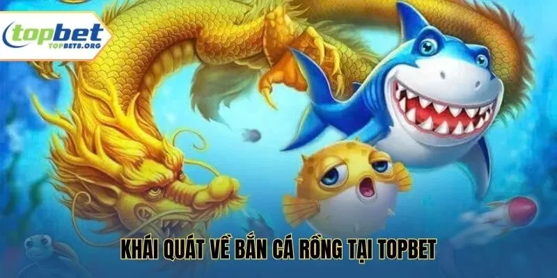 Khái quát về bắn cá rồng tại Topbet