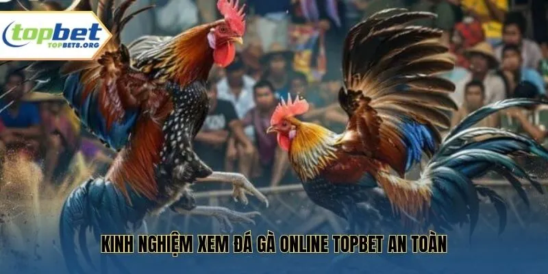 Kinh nghiệm xem đá gà online Topbet an toàn