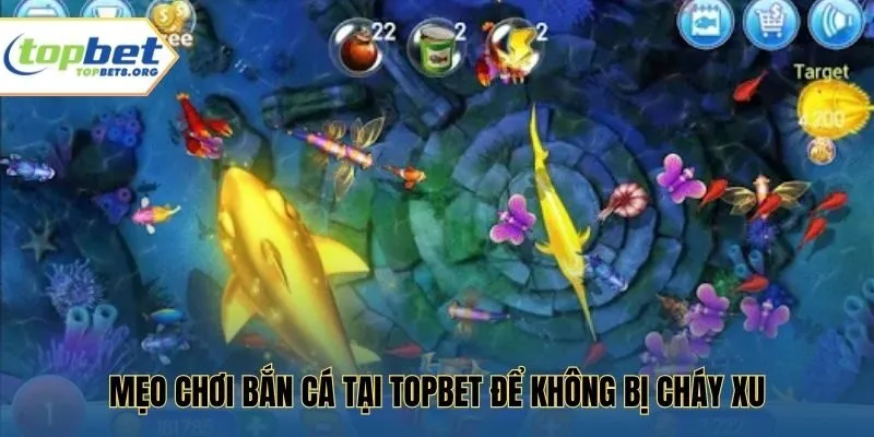 Mẹo chơi bắn cá tại Topbet để không bị cháy xu