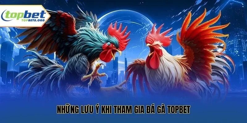 Những lưu ý khi tham gia đá gà Topbet