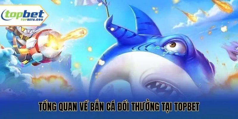 Tổng quan về bắn cá đổi thưởng tại Topbet